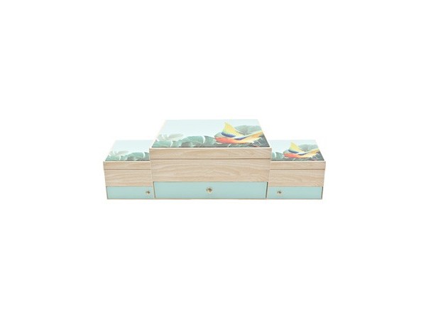 化妆品蓝狮注册
