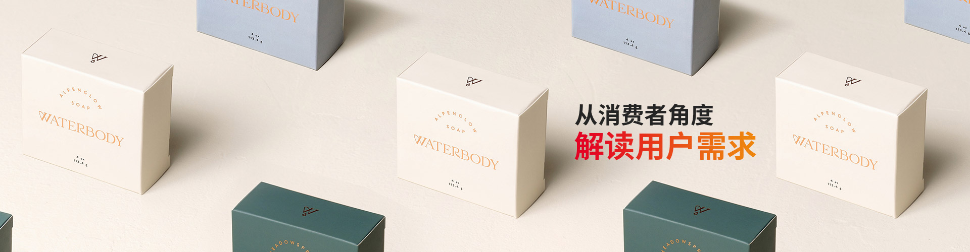 蓝狮-从消费者角度解读用户需求