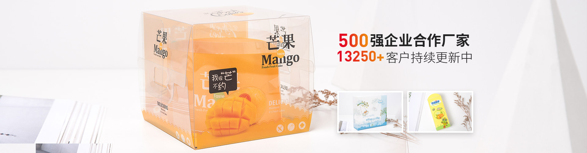 蓝狮-500强企业合作厂家